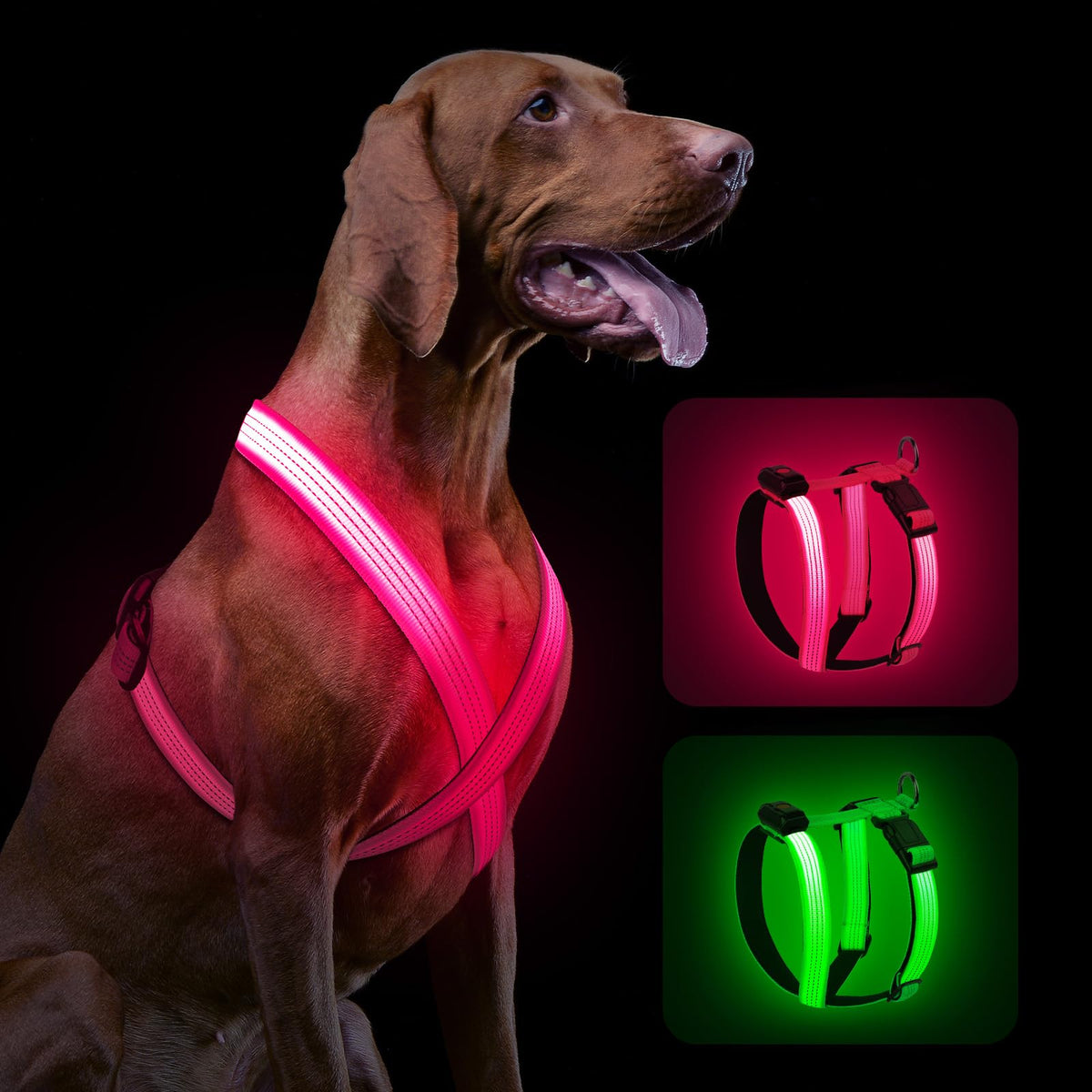 Rechargeable LED Light-Up Dog Harness